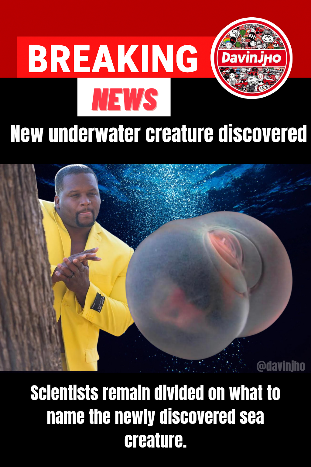 New Weird Sea Creature Discovered – Scientists Are Speechless